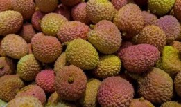 吃胯瓜能吃荔枝吗