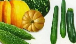 吃瓜专用照片,揭秘那些令人捧腹的吃瓜瞬间