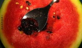 带你吃瓜奇葩茶壶,带你探索“带你吃瓜”的独特风味