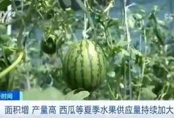 射阳吃瓜事件吃瓜群众是谁,揭秘“吃瓜群众”的真实身份