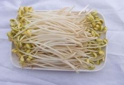 吃瓜的豆芽妹,揭秘娱乐圈那些事儿