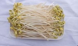 吃瓜的豆芽妹,揭秘娱乐圈那些事儿