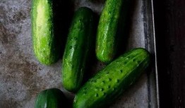 吃瓜电视版,电视版背后的故事与幕后花絮