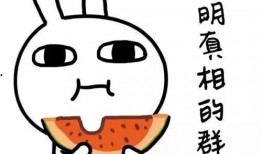 吃瓜亚洲,揭秘娱乐圈背后的故事与真相