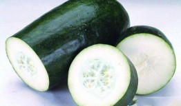 弹力摇吃瓜,揭秘网红美食背后的秘密