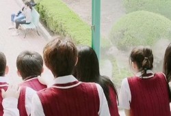 吃瓜群众追剧,吃瓜群众的热血追剧之旅