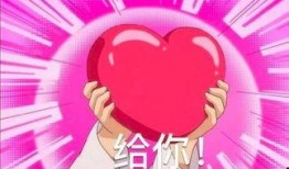 吃别人瓜怎么道歉,如何挽回瓜友关系