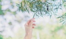 立夏节气可以吃瓜吗,畅享瓜果清凉时光