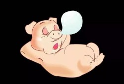 吃瓜的小胖子