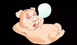 吃瓜的小胖子