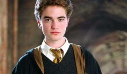 吃瓜罗伯特莎头,罗伯特莎头事件背后的真相揭秘