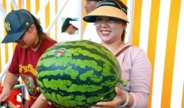 吃瓜看新闻,吃瓜群众视角下的时事新闻盘点