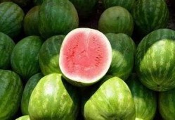 吃瓜图片最新,一场视觉盛宴背后的故事