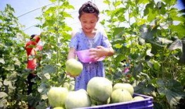 临汾吃瓜事件视频