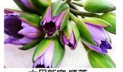 吃瓜文案花花,吃瓜群众花花带你揭秘娱乐圈那些事儿