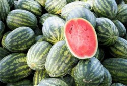 世界城直播吃瓜,一场别开生面的吃瓜盛宴