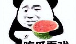画师吃瓜表情包,趣味横生的视觉盛宴