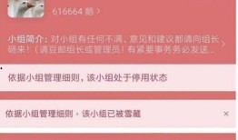 在豆瓣吃瓜是什么app,揭秘社交平台上的热门话题与趣味互动
