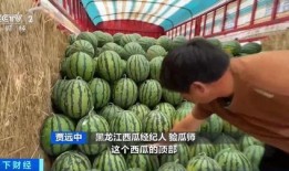 陈妈吃瓜,揭秘娱乐圈幕后故事