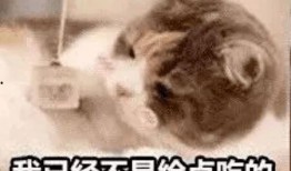 阿姨吃瓜表情,揭秘生活百态