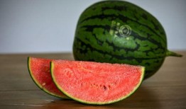 吃瓜网167,娱乐圈幕后真相大曝光！