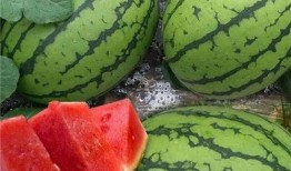 吃瓜吃了个大瓜,揭秘娱乐圈惊人内幕