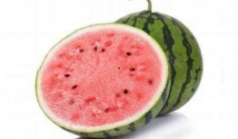 孩子吃麒麟瓜视频大全,孩子吃瓜视频大盘点