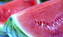 儿童吃小白瓜的好处,健康成长的天然伴侣