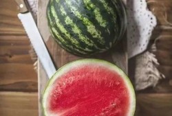 不是吃瓜的季节,探寻别样生活乐趣