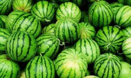 吃瓜跟工作,平衡娱乐与职业发展的智慧之道