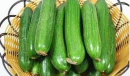 八瓣吃瓜小组,揭秘网络热点的幕后故事