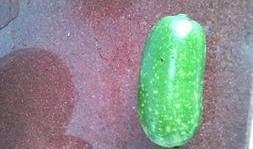 怀孕可以吃儿瓜,儿瓜助力母婴健康