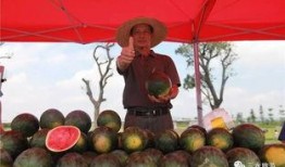 吃雪梨瓜的好处,润肺生津，夏日清凉佳品