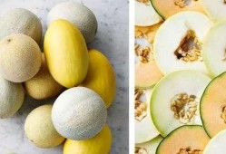 甜心吃瓜链接,揭秘娱乐圈甜蜜背后的秘密瓜