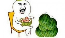 吃瓜吃瓜下一句