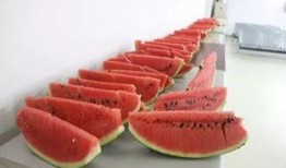 广场吃瓜啥意思,揭秘网络热议背后的真相与趣味