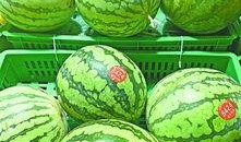 武汉吃瓜事件最新,网络热议背后的真相与反思