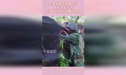 第一视角吃瓜现场,现场吃瓜，揭秘娱乐圈幕后真相