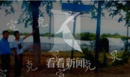 偷瓜村吃瓜群众被抓视频,一场乡村闹剧的直播记录