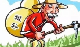 种瓜得瓜自己吃打一成语,探寻因果循环的智慧