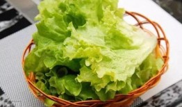 中午吃生菜和蟹瓜,夏日午后的清新美味之旅