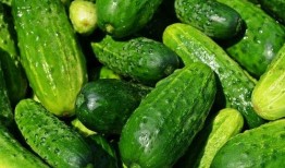 切分瓜吃,切分瓜吃的快乐时光