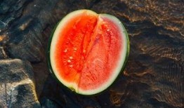 竹节吃瓜,探寻传统美食的竹韵风情