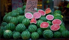 上海浦东吃瓜,瓜果飘香，品味都市田园生活