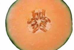 怀孕吃哈密瓜能补叶酸吗,哈密瓜助力健康孕育