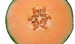 怀孕吃哈密瓜能补叶酸吗,哈密瓜助力健康孕育