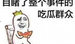 吃瓜的安排,揭秘年度热门事件大盘点