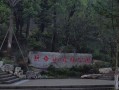 森林公园的吃瓜,清凉一夏，共享自然美味