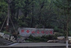 森林公园的吃瓜,清凉一夏，共享自然美味