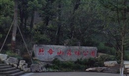 森林公园的吃瓜,清凉一夏，共享自然美味